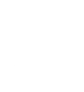 ZN Wolfgang Schmahl Handels-GmbH